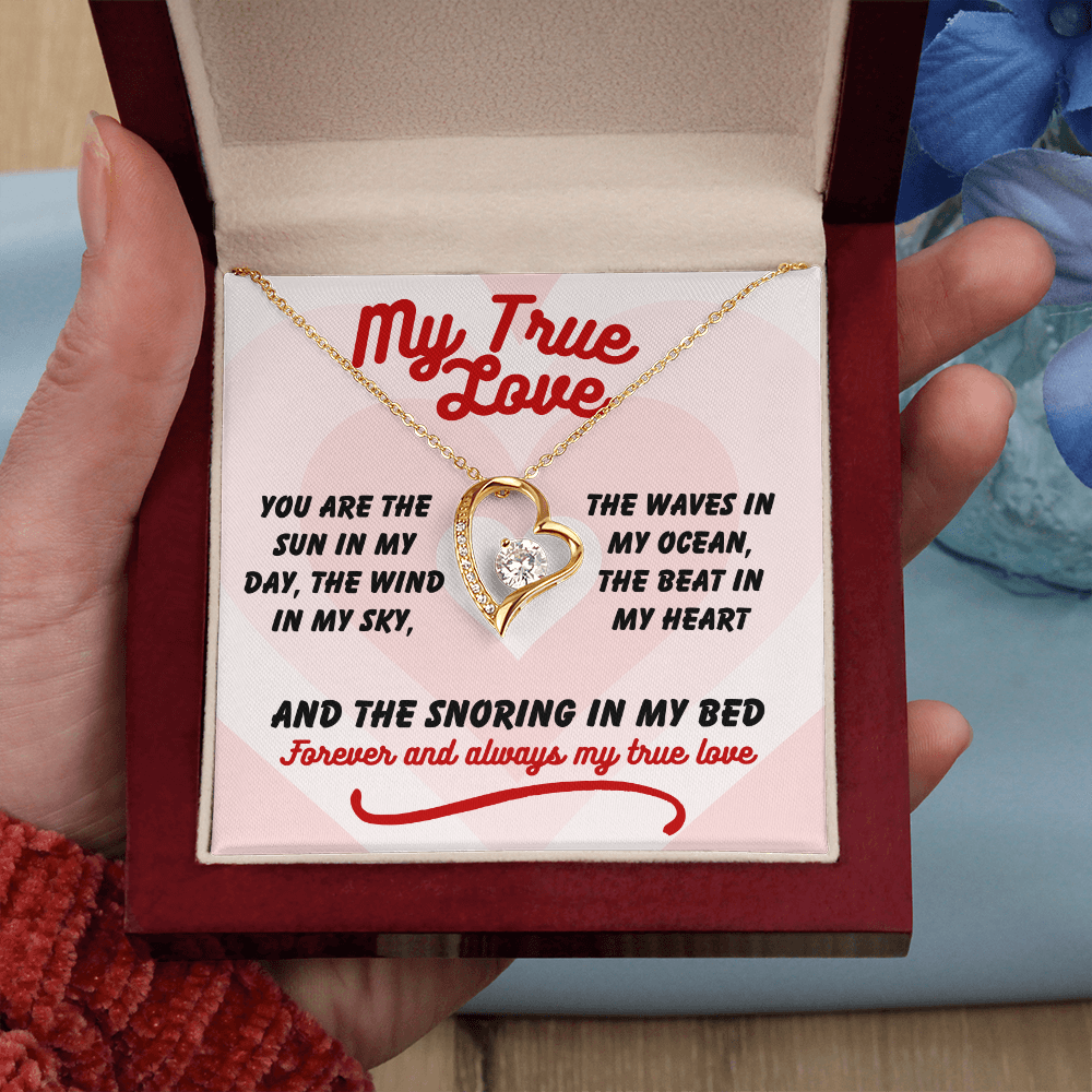 My true love - You are the sun - Forever Love Necklace
