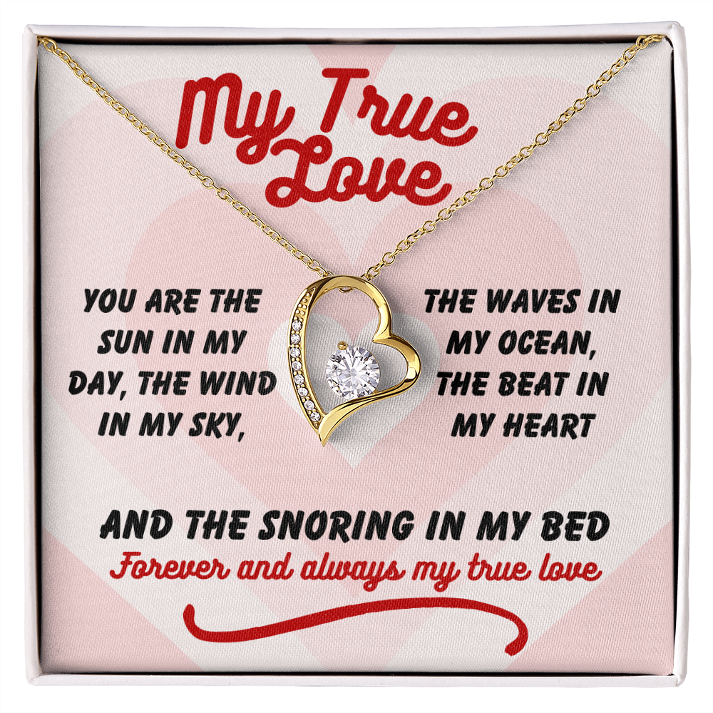 My true love - You are the sun - Forever Love Necklace