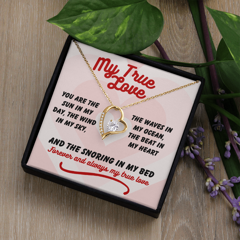My true love - You are the sun - Forever Love Necklace