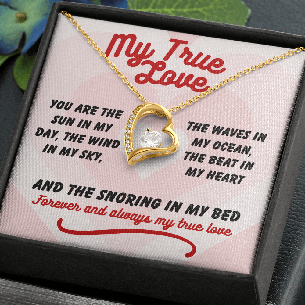 My true love - You are the sun - Forever Love Necklace