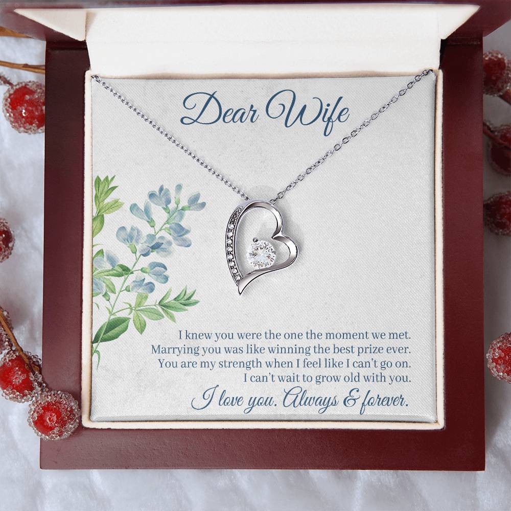 To Wife - I knew you were - Forever Love Necklace