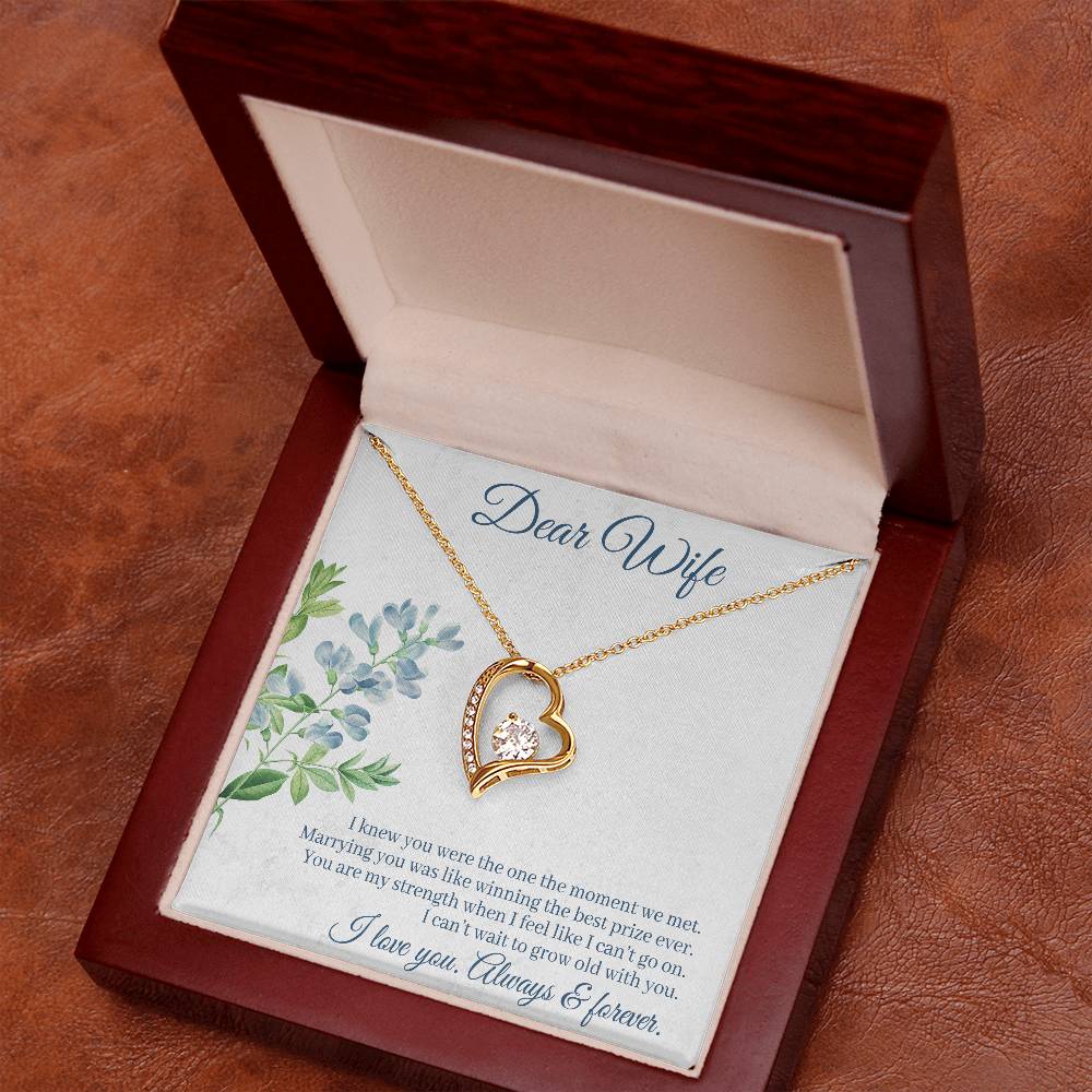 To Wife - I knew you were - Forever Love Necklace