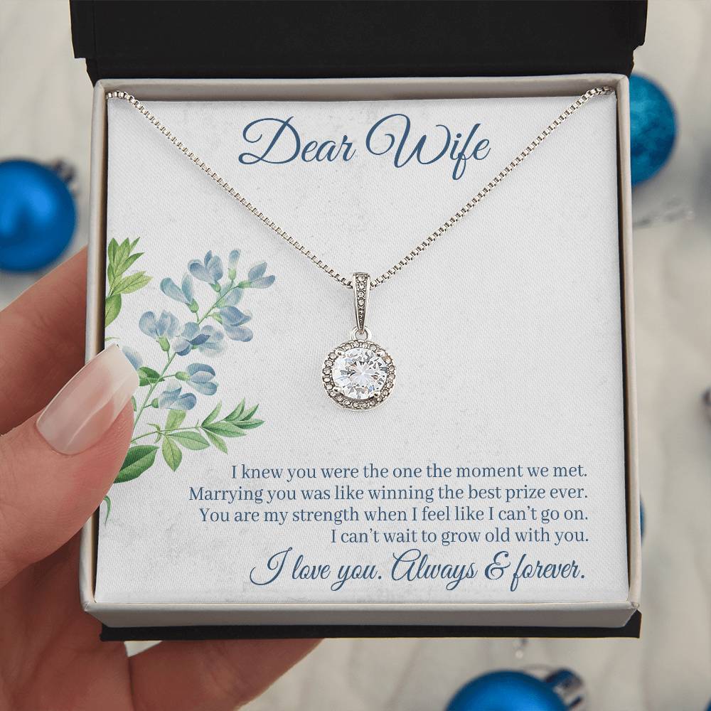 To Wife - I knew you were - Eternal Hope Necklace