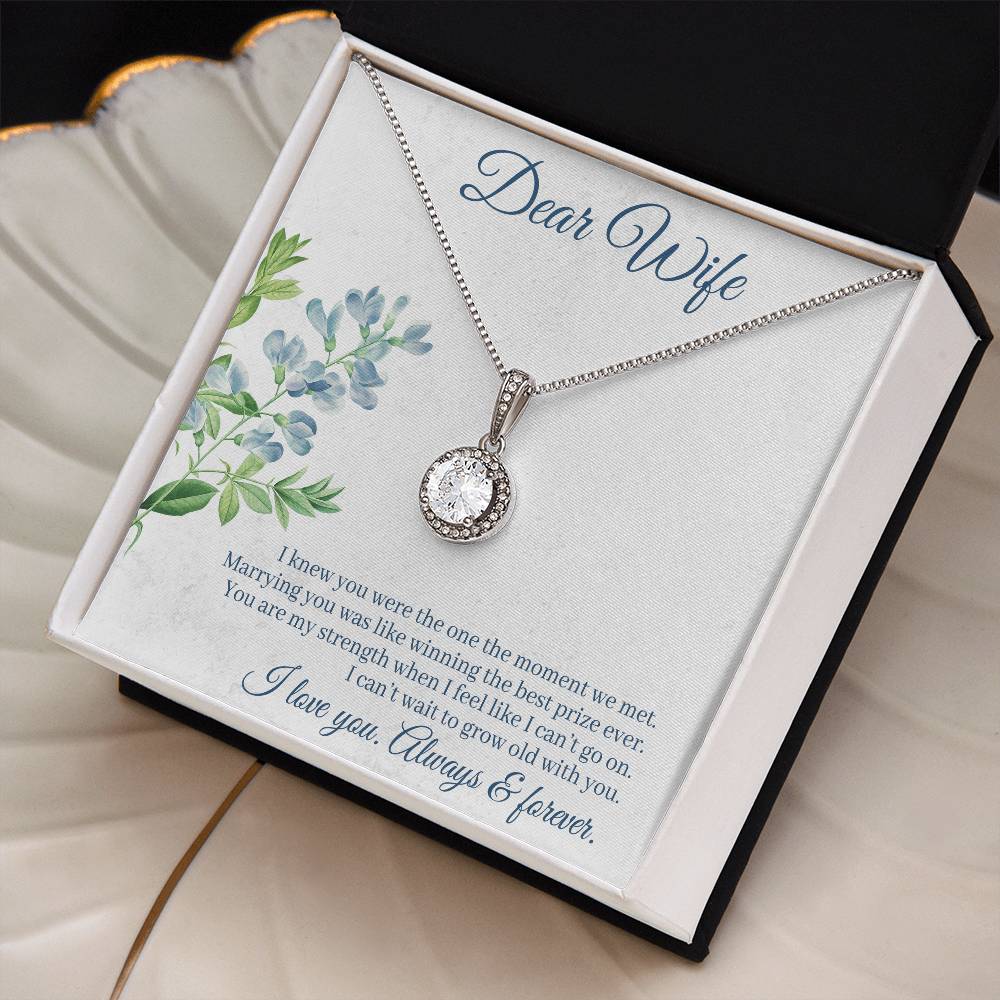 To Wife - I knew you were - Eternal Hope Necklace