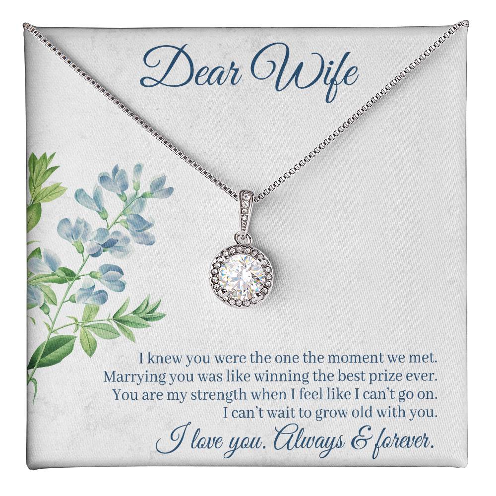 To Wife - I knew you were - Eternal Hope Necklace