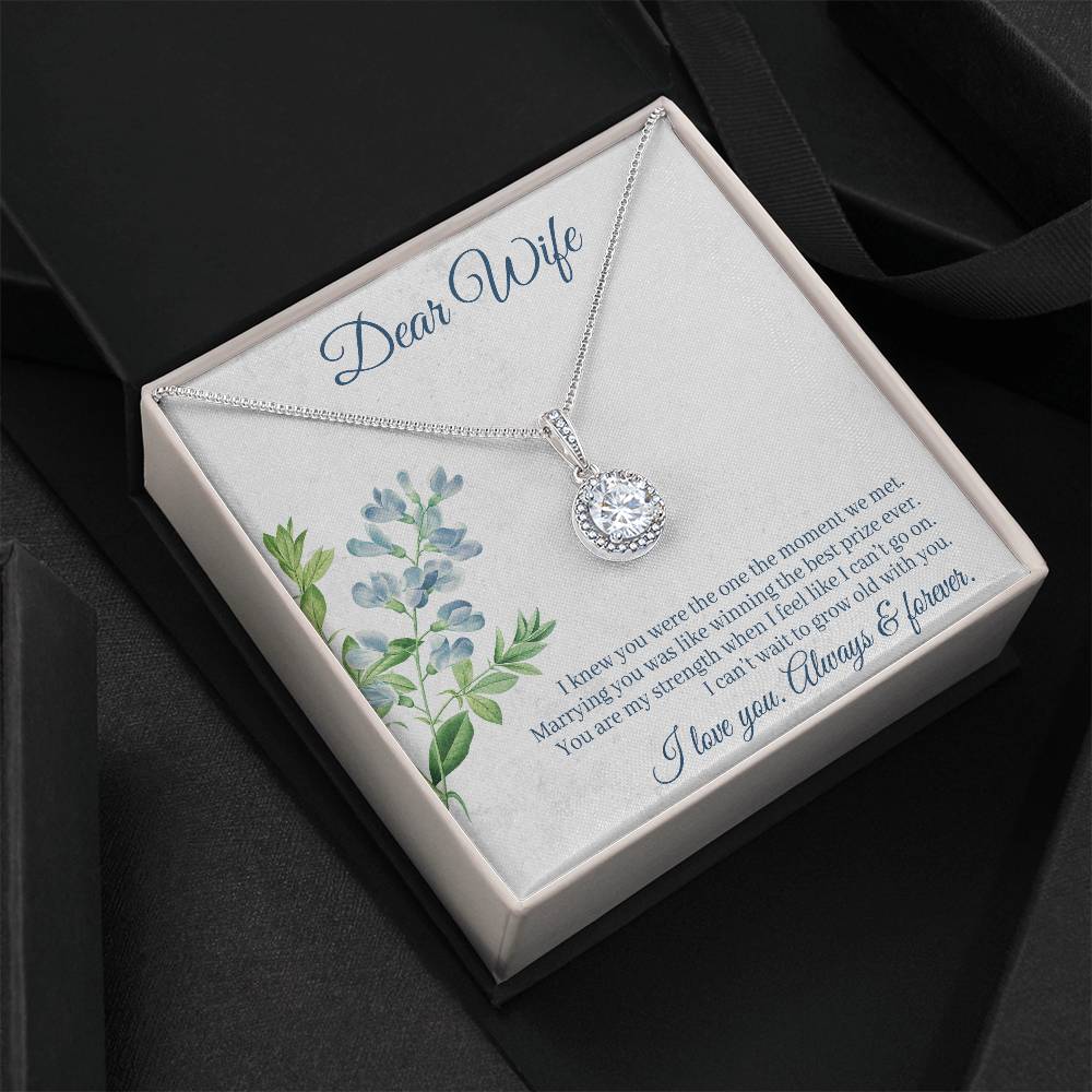 To Wife - I knew you were - Eternal Hope Necklace