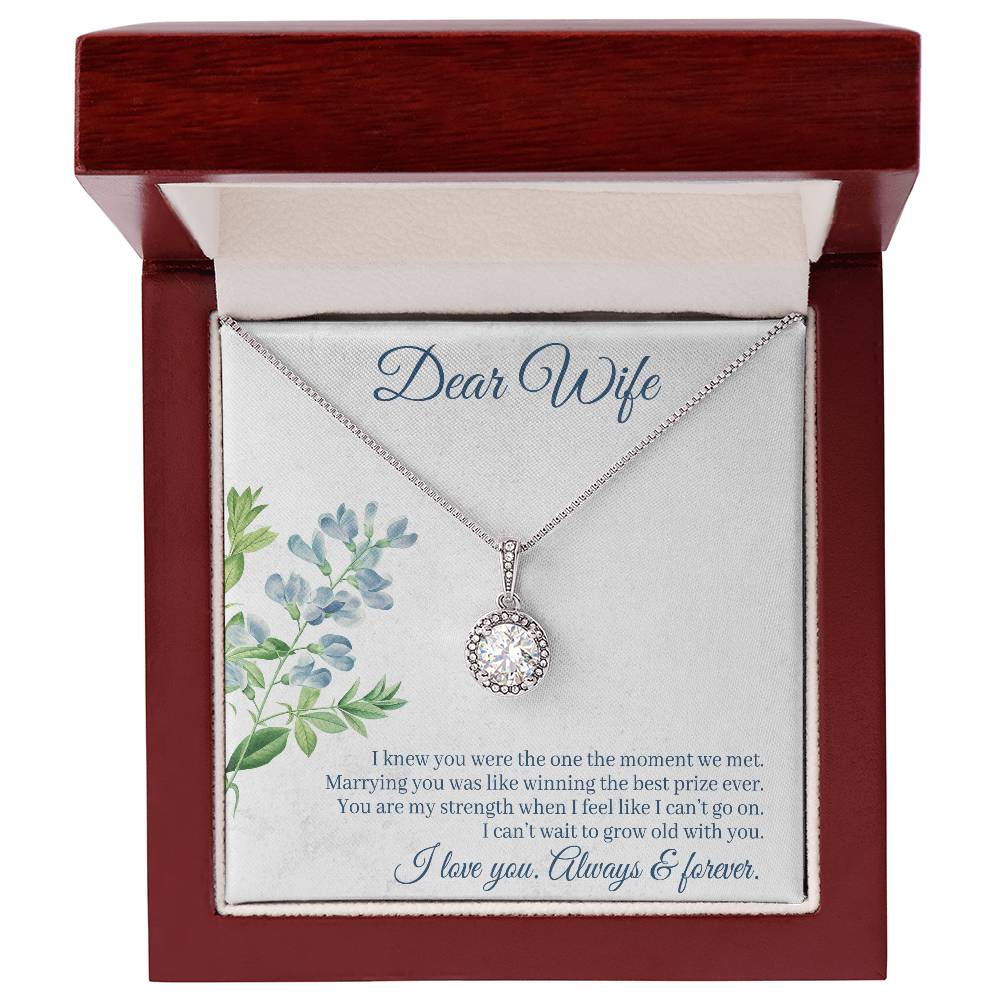 To Wife - I knew you were - Eternal Hope Necklace