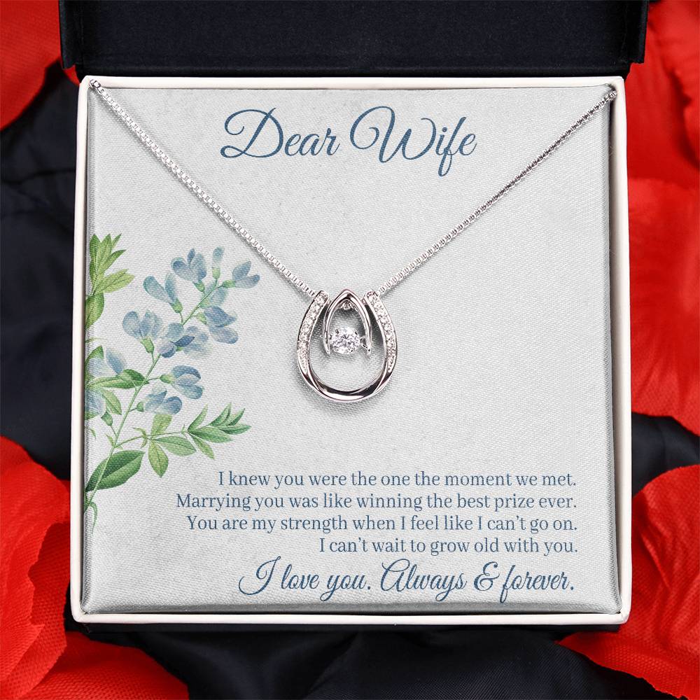 To Wife - I knew you were - Lucky In Love Necklace