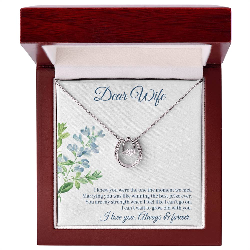 To Wife - I knew you were - Lucky In Love Necklace