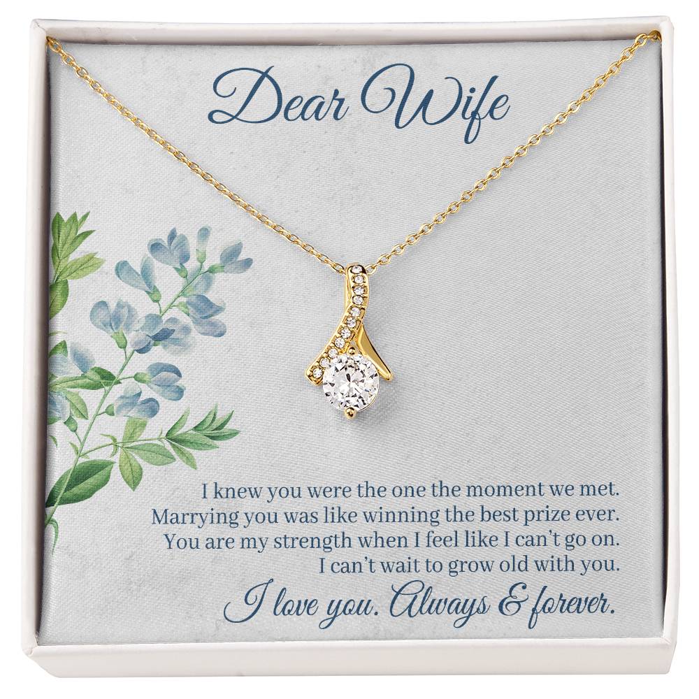 To Wife - I knew you were - Alluring Beauty Necklace