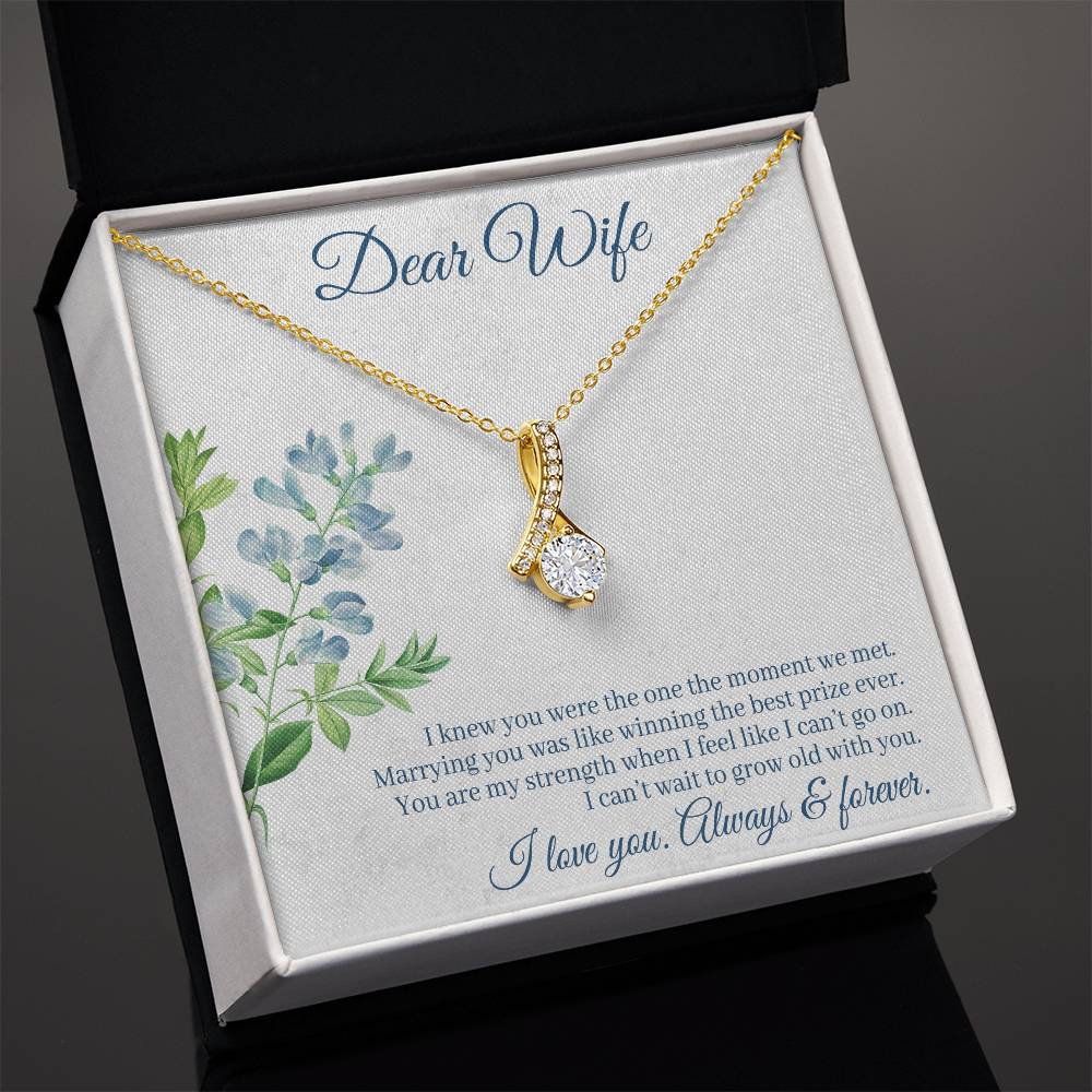 To Wife - I knew you were - Alluring Beauty Necklace