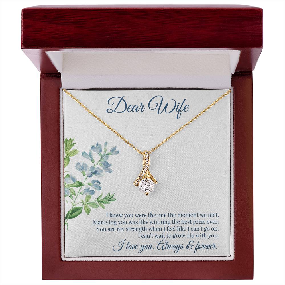 To Wife - I knew you were - Alluring Beauty Necklace