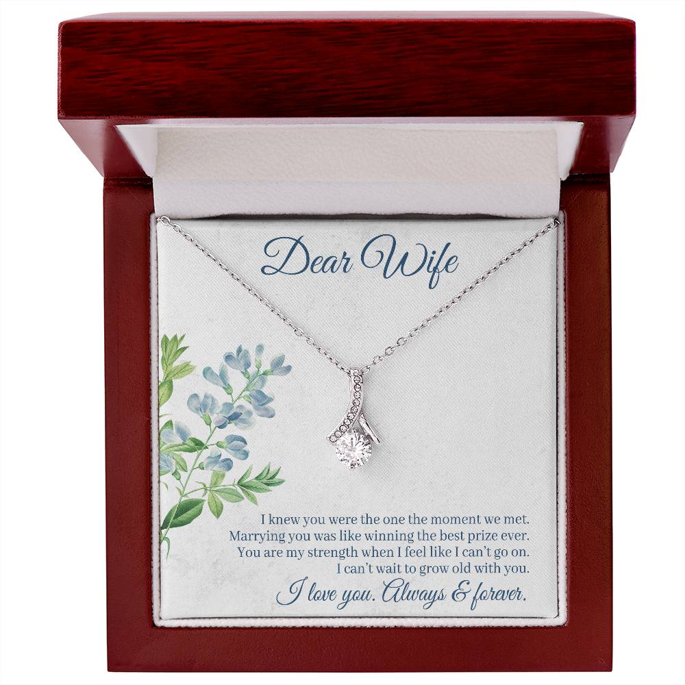 To Wife - I knew you were - Alluring Beauty Necklace