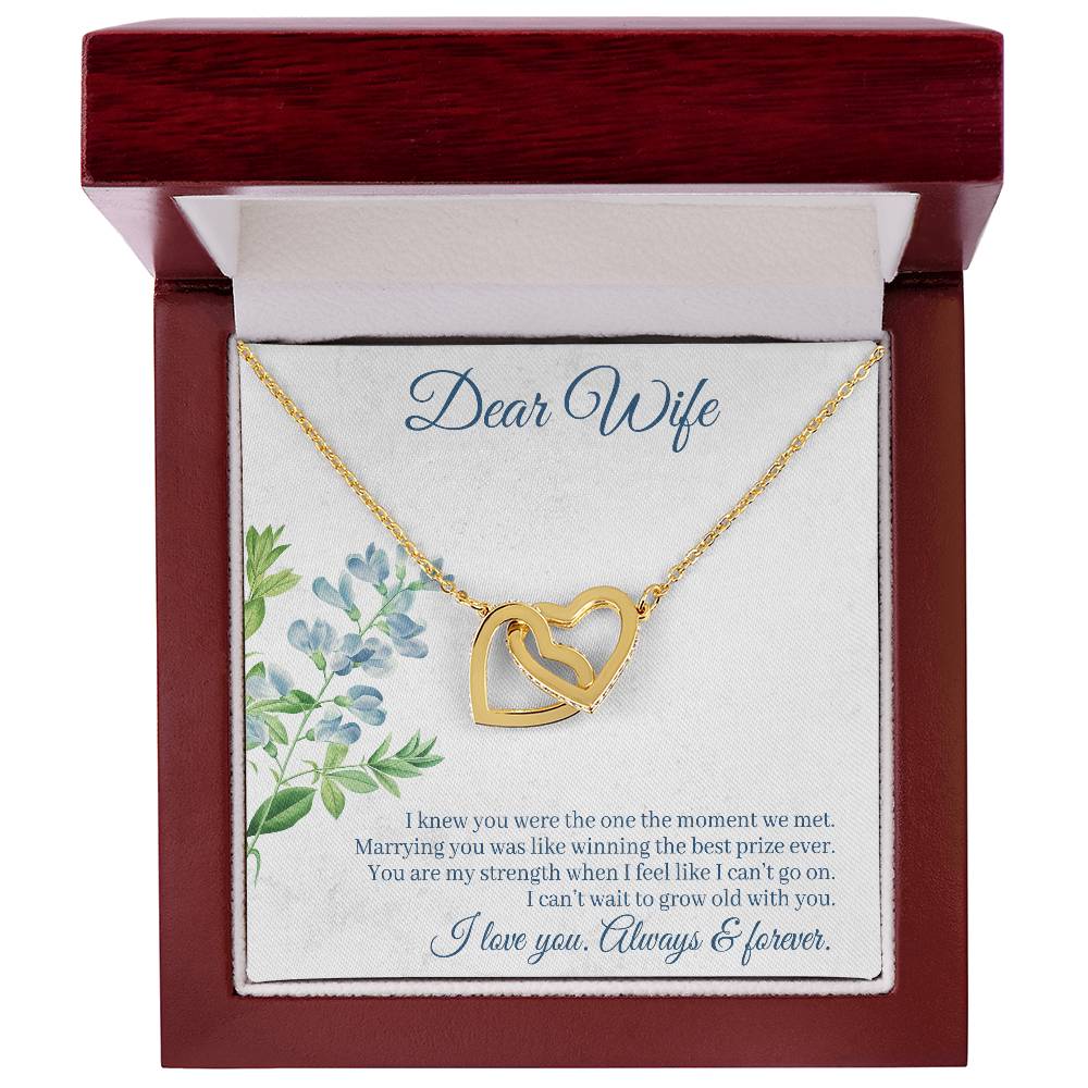 To Wife - I knew you were - Interlocking Hearts Necklace