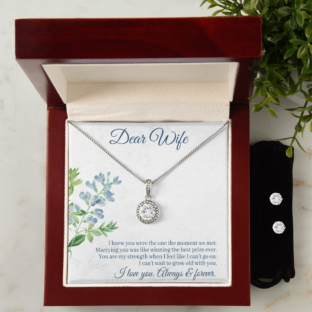 To Wife - I knew you were - Eternal Hope Necklace & Earring Set