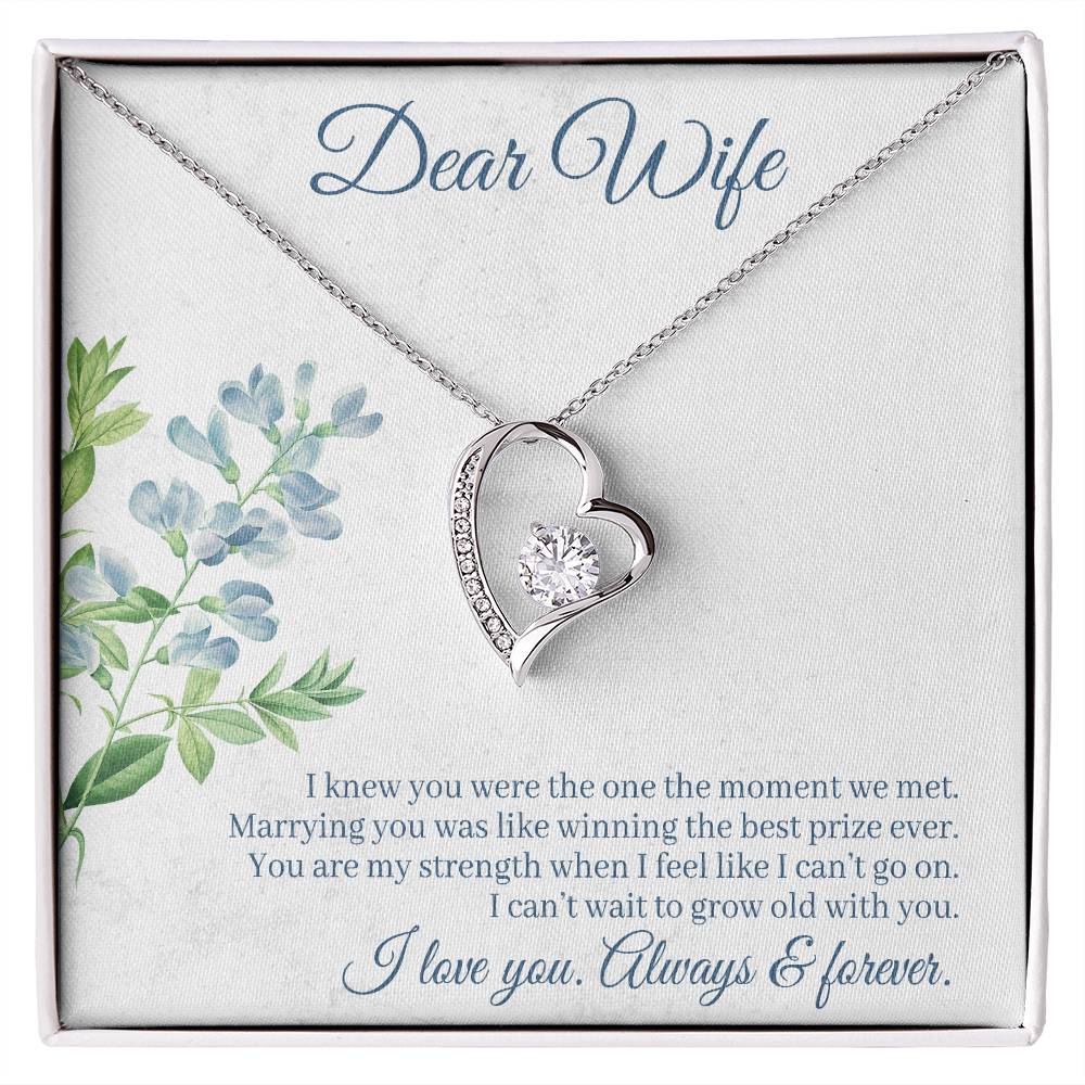 To Wife - I knew you were - Forever Love Necklace