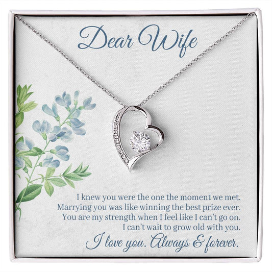 To Wife - I knew you were - Forever Love Necklace