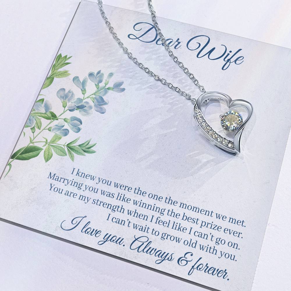 To Wife - I knew you were - Forever Love Necklace