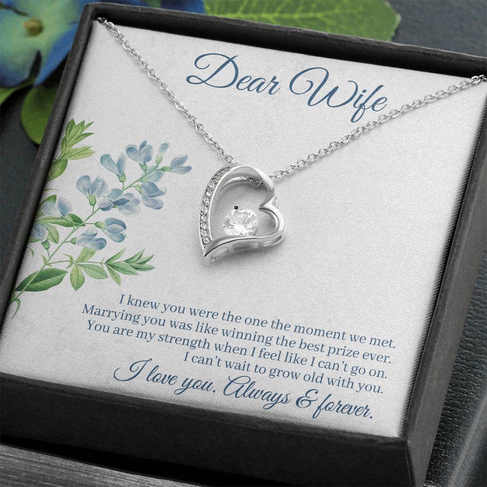 To Wife - I knew you were - Forever Love Necklace