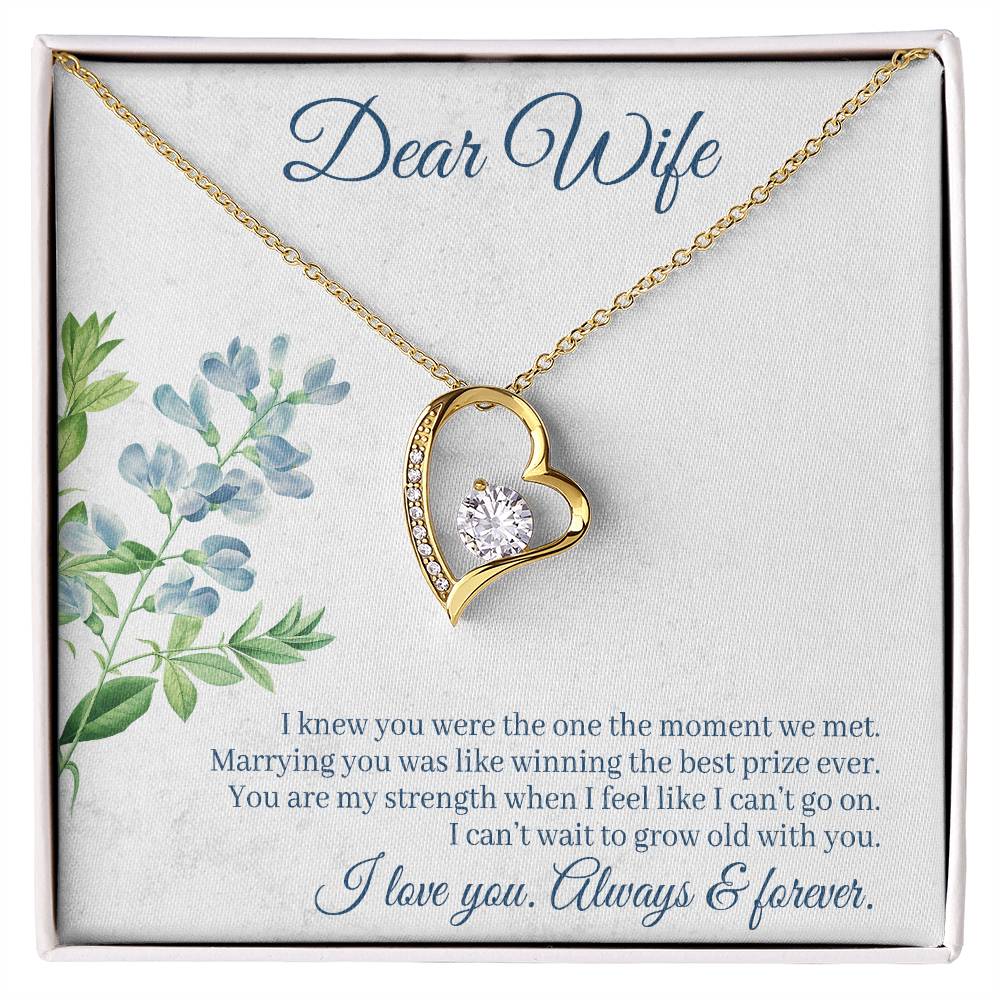 To Wife - I knew you were - Forever Love Necklace