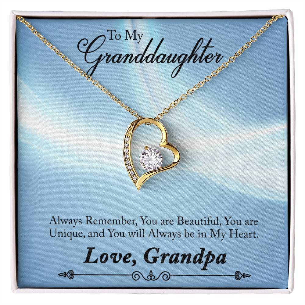 To Granddaughter - Always remember - Forever Love Necklace