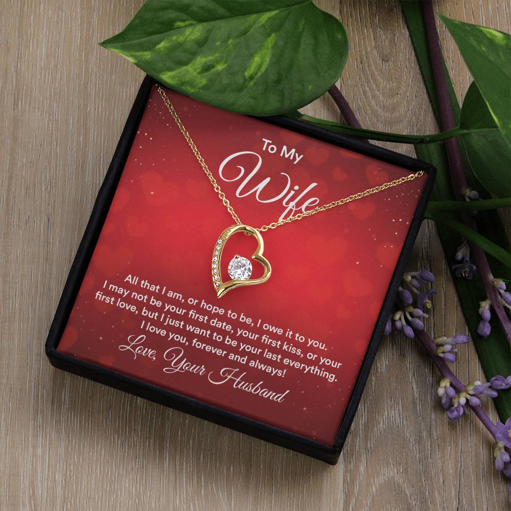 To Wife - All that I am - Forever Love Necklace